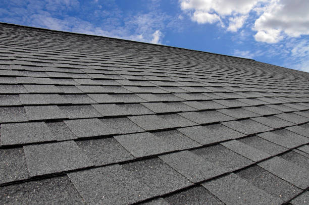 Best Roof Insulation Installation  in Duncansville, PA