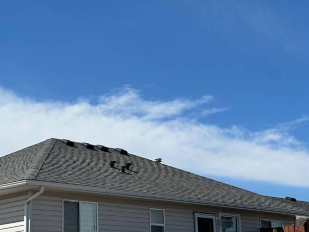Best Chimney Flashing Repair  in Duncansville, PA